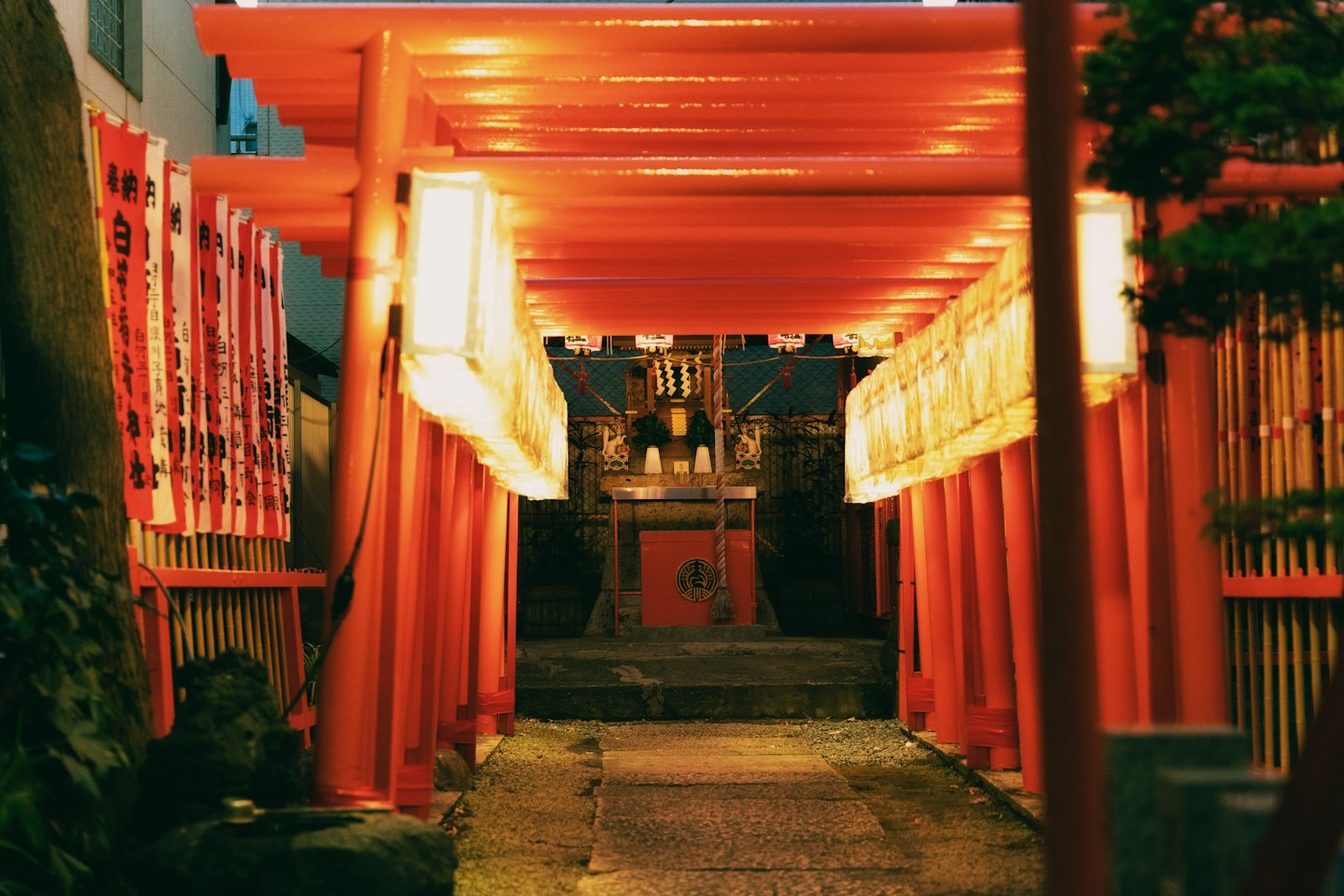 赤い鳥居が並ぶ石畳の参道が神社へと続いている。
